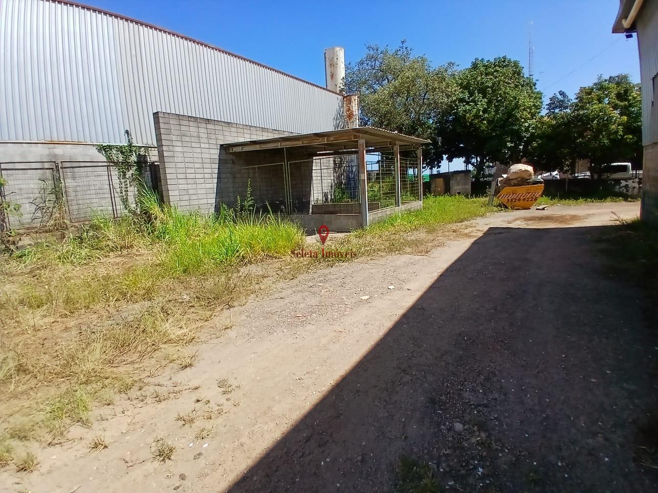 Depósito-Galpão, 2000 m² - Foto 4